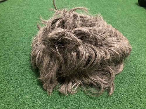 Gray wig - gray,