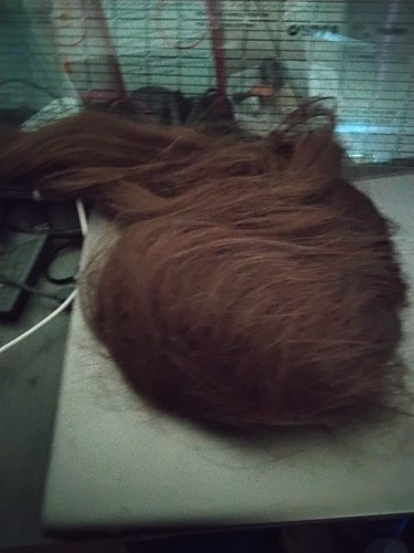 Wig